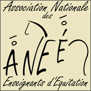logo anee